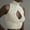 Beige, variant on Women's Tanks Summer Sleeveless Wool Top for Elegant Everyday Style Breathable Casual Vest for Women Pink XL