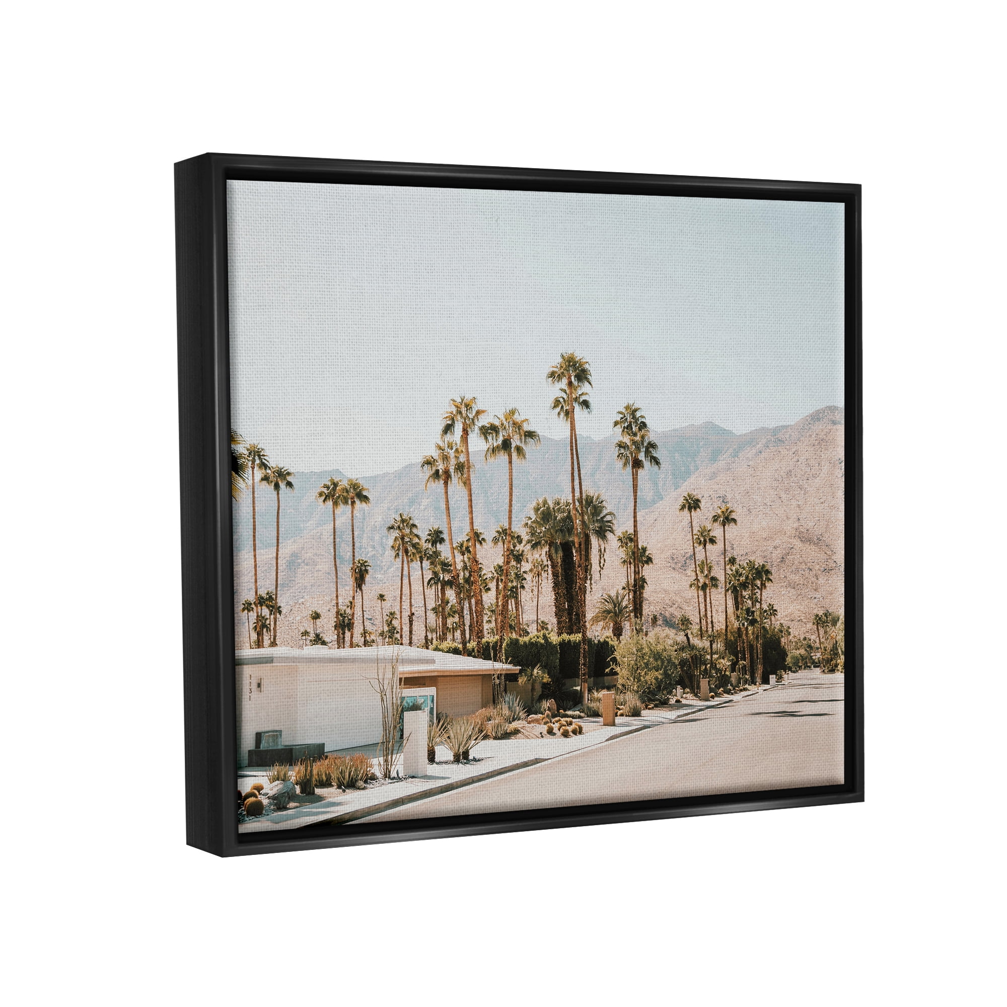 Stupell Summer Villa Town Palm Trees Landscape Photography Black Floater Framed Art Print Wall Art