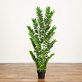 thumbnail image 6 of Nearly Natural 5ft. Artificial Zamioculcas Plant, 6 of 7