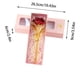 thumbnail image 3 of LADIGASU Rosas de Oro Día de San Valentín,Aniversario,Boda,Día de La Madre,Regalos de Cumpleaños y Regalos de Boda Liquidación 1 Rosa, 3 of 4