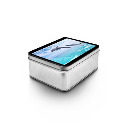 Dolphin Keepsake - Ventura Beach, California - Jumping Dolphins - Lantern Press Photography (Keepsake Tin)