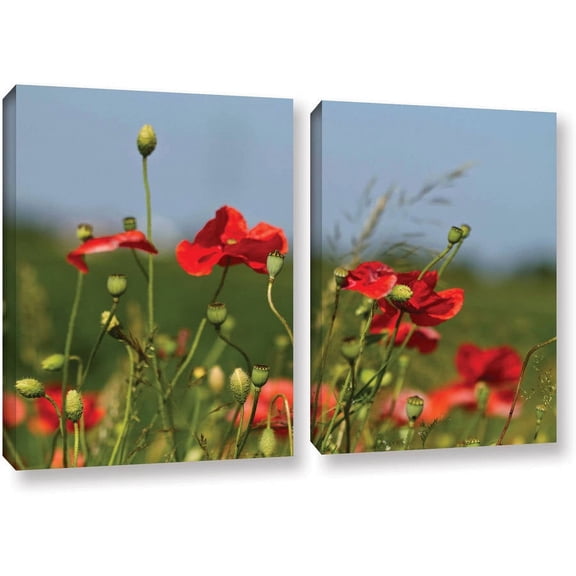 ArtWall Lindsey Janich "Red Flower" 2-Piece Floater Framed Canvas Set