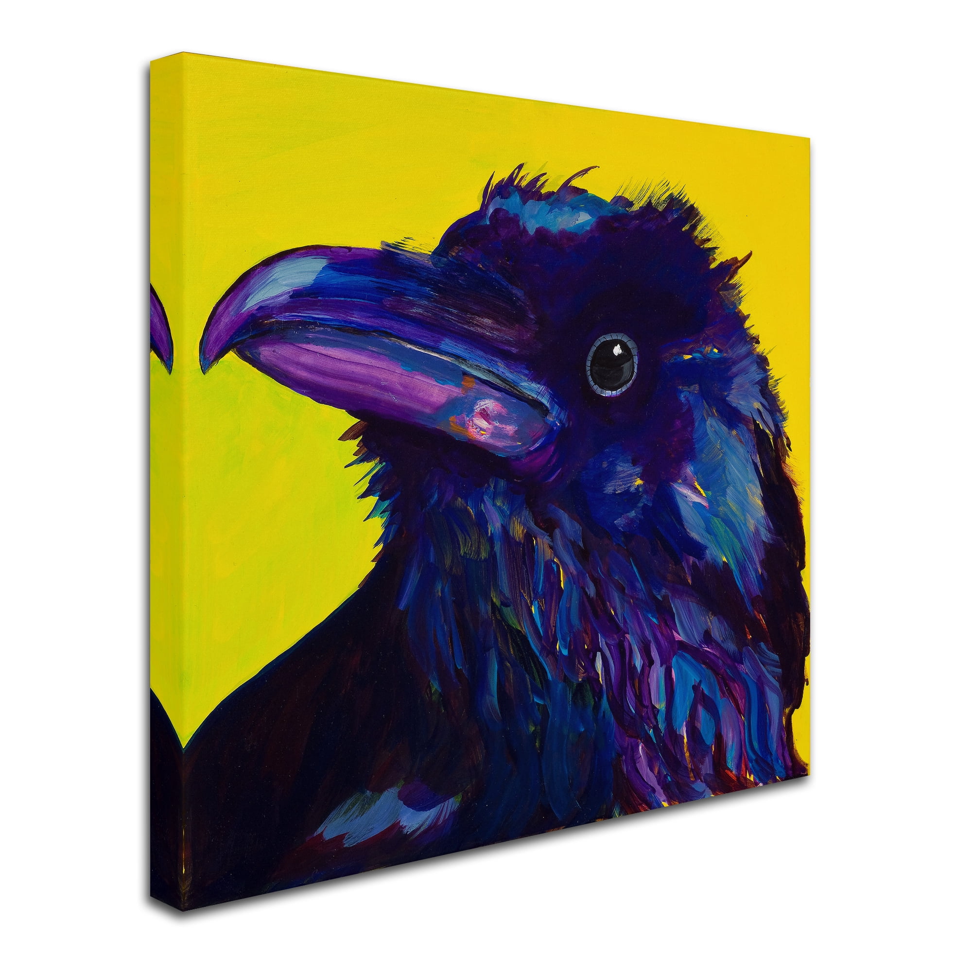 Trademark Fine Art 'Corvus' Canvas Art by Pat Saunders-White