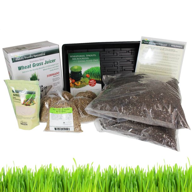 Organic Wheatgrass Growing Kit & Tornado Juicer Grow & Juice