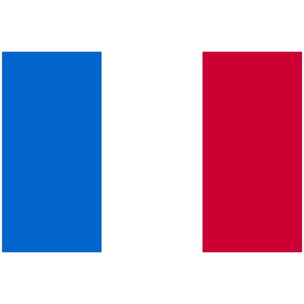 France National Flag Poster Print Poster 19x13