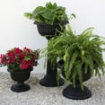 thumbnail image 6 of Bloem 32-in Tall Grecian Urn Resin Pedestal Planter - Black, 6 of 8
