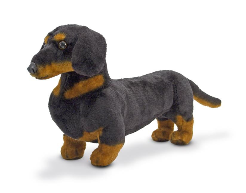 dachshund proof toys