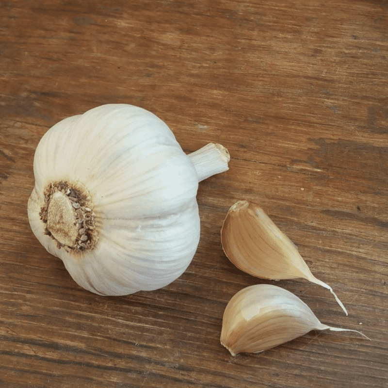 California White Softneck Garlic Bulbs, 0.5 Pound, Garden-Ready Cloves for Planting Indoors or Outdoors