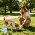 thumbnail image 5 of Pet Cooling Evaporative Vest, Water Activated Breathable Summer Sun Protection Jacket Adjustable for Small to Large Dogs,Orange,S, 5 of 5