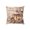 B, variant on Christmas Pillow Covers Decorative Throw Pillow Cases Washable Cushion Case for Sofa Couch Bedroom Living Room Home Decor