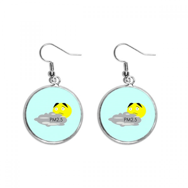 Calidad del aire Pendientes pendientes de plata colgantes joyas señora Unbranded M
