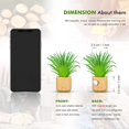 thumbnail image 3 of 8 Pieces Mini Artificial Succulent Plants Decorative Refrigerator Magnets for Shelf Kitchen Counter Office Decor Tiny Miniature Desk Plant Decoration (Wall Hanging or Lay Flat), 3 of 7