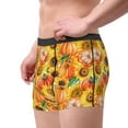 thumbnail image 2 of Pofeuu Pumpkins And Sunflowers Print Men’s Boxer Briefs, Moisture-Wicking Underwear, Regular,Trunk-Large, 2 of 5
