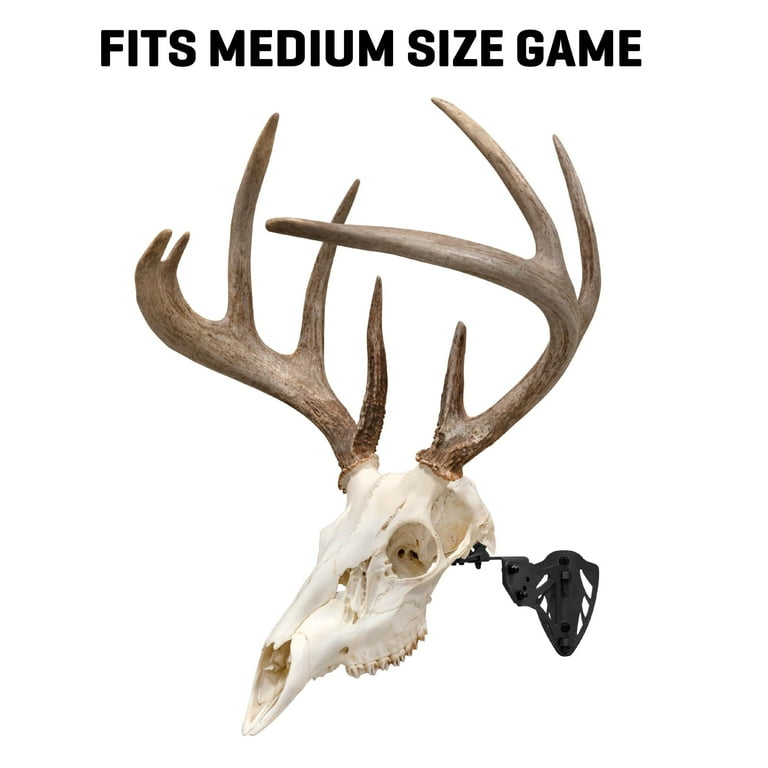 蝦夷鹿hunting trophy（deer skull） Amazon.com: Ebros Gift Rustic Hunter Deer 10 Point Buck Skull