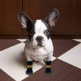 thumbnail image 4 of Pet Hero Non-Slip Socks 4 Pack Suitable for Dogs and Cats - Protects Paws and Indoor Floors, with Rubber Cushioning, Suitable for Small and Large Dogs and Cats, 4 of 5