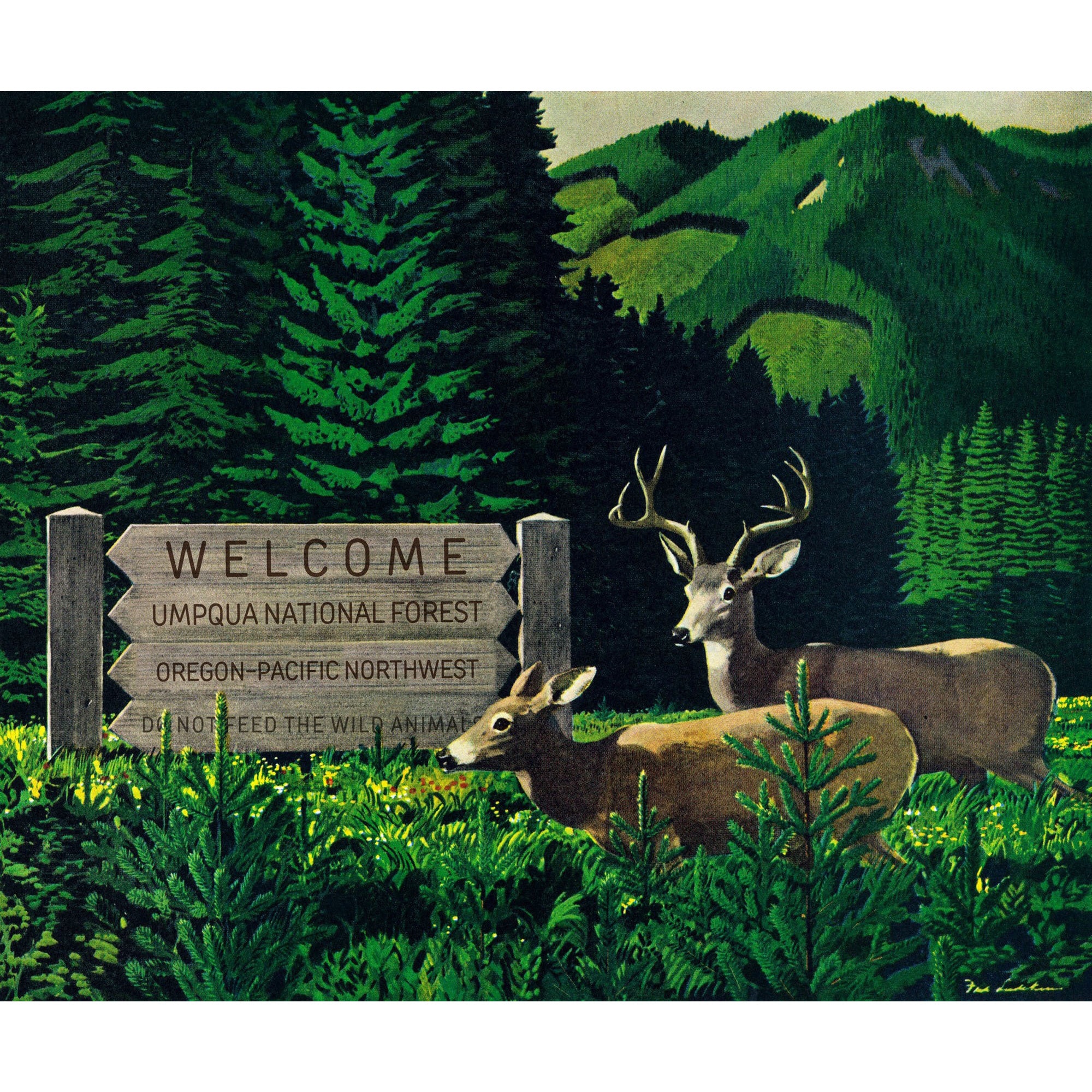 Marmont Hill - "Umpqua Natl Forest" Painting Print on Wrapped Canvas
