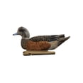 thumbnail image 4 of AVIAN-X Topflight Wigeon Durable Ultra Realistic Floating Hunting Duck Decoys, Pack of 6, AVX8084, 4 of 11