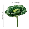 thumbnail image 3 of Lunxisen 4 Pcs Artificial Cabbage Realistic Food Props Decorative Botanical For Home Decor Wedding Kitchen Display, 3 of 7