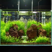 PBPBOX 8Pcs Aquarium Decorations Fish Tank Plant Ornament Plastic Grass Decor for Underwater Landscape