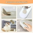 thumbnail image 3 of Cat Steam Brush for Shedding,Upgrade 4 in 1 Pet Steam Groomer Comb,Anti-Static Steam Massage Dog Brush,Pet Spray Hair Removal Brush with Foldable Handle(Light Coffee), 3 of 6