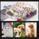 thumbnail image 5 of Collares brillantes para mascotas Wdftyju con campanas brillo nocturno para perros y gatos, 5 of 8