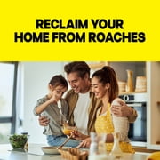 Raid Double Control Large Roach Baits, Kills Cockroaches and Bugs, 8 Bait Stations