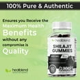 thumbnail image 4 of Healblend Organic Himalayan Shilajit Gummies 600mg - Optimal Health, Energy & Immunity Support for Men & Women, Natural Fruit Flavor - 60 Gummy, 4 of 9