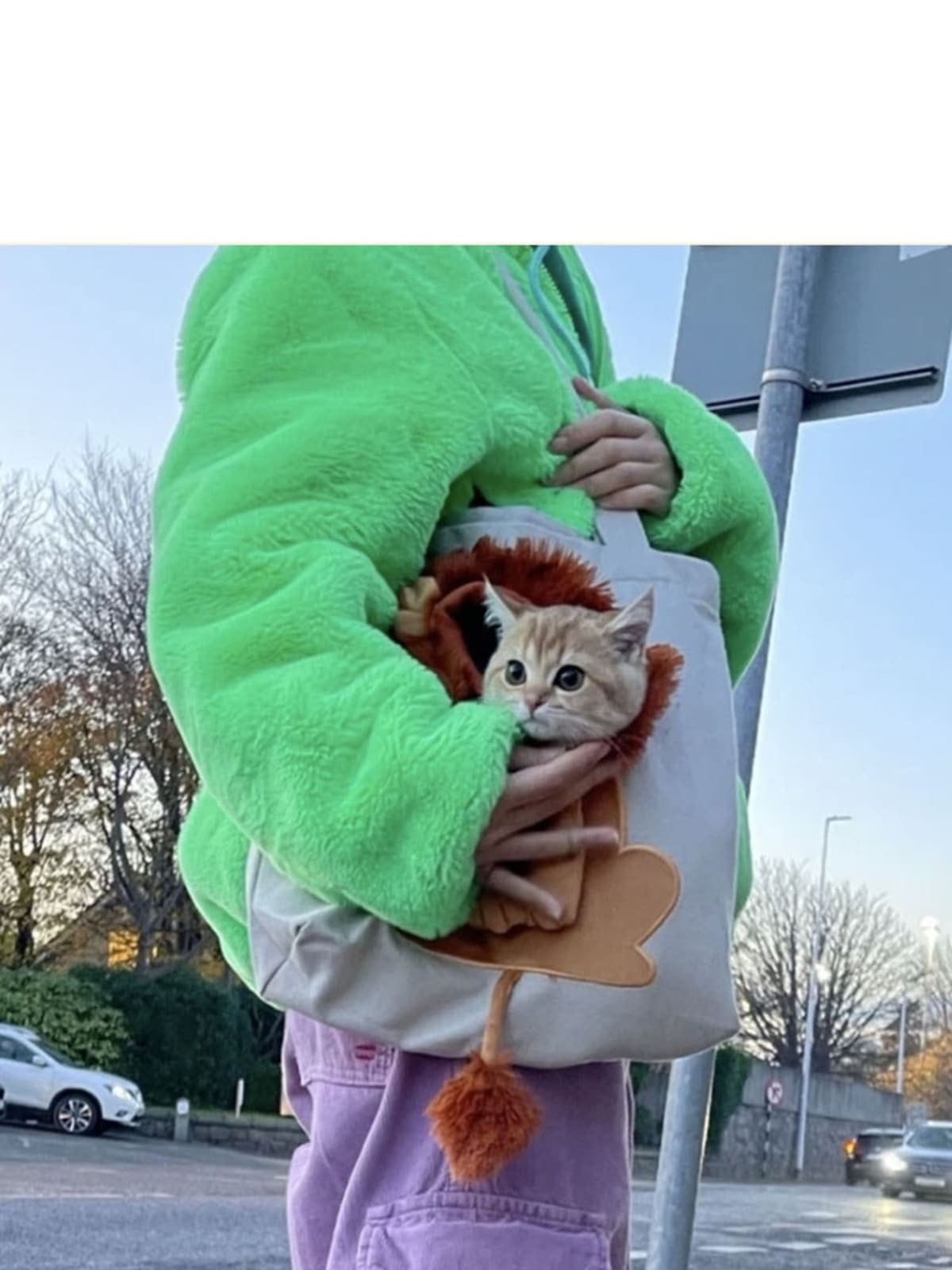 Canvas Pet Backpack Fashion Cartoon Cat Design Comfortable Shoulder Tote Bag for Small Animals Travel and Outdoor Adventures