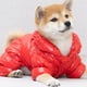 thumbnail image 4 of Winter Pet Dog Jumpsuit Waterproof Warm Dog Clothes for Small Dogs Chihuahua Jacket Yorkie Costumes Shih Tzu Coat Pet Outfits ShopWise Round, 4 of 10