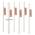 thumbnail image 2 of Pure Copper Electroculture Stakes 6 Pcs Support Natural Soil Energy Transfer And Improve Health In Gardens Garden Climbing Support For Outdoor For Vertical Growth And Relationshi Rattan Clip, 2 of 4