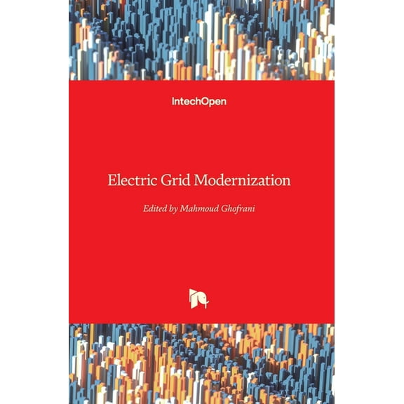 Electric Grid Modernization (Hardcover)