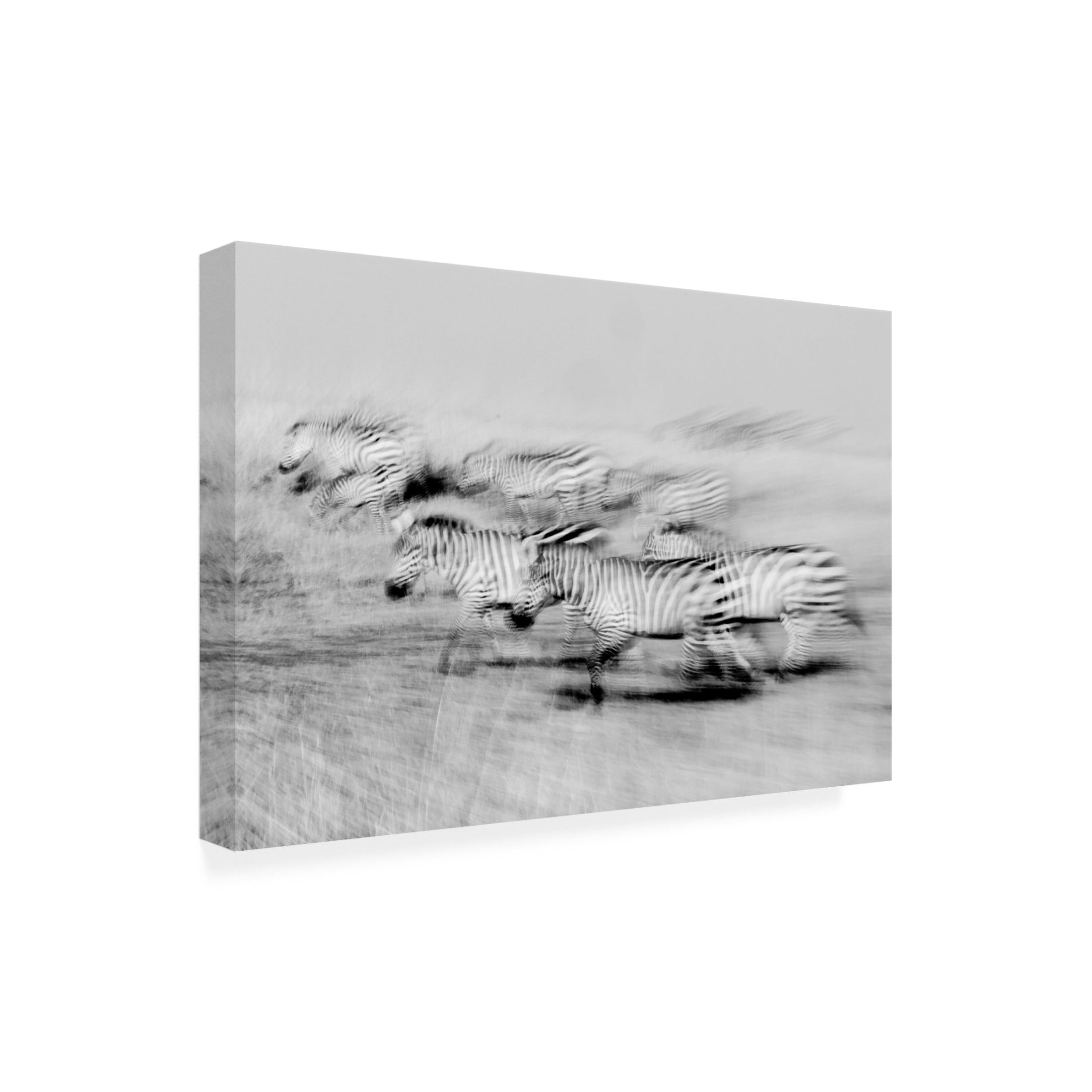 Trademark Fine Art Lokesh Kumar Rastogi Moving stripes Canvas Wall Art