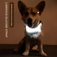 thumbnail image 3 of Pet LED Dog Collar Multi-function Traction Rope Luminous Collar Strap  Pink, 3 of 6