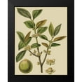 thumbnail image 2 of Fitch, J.N. 19x24 Black Modern Framed Museum Art Print Titled - Fitch Leaves on Khaki I (PS), 2 of 5