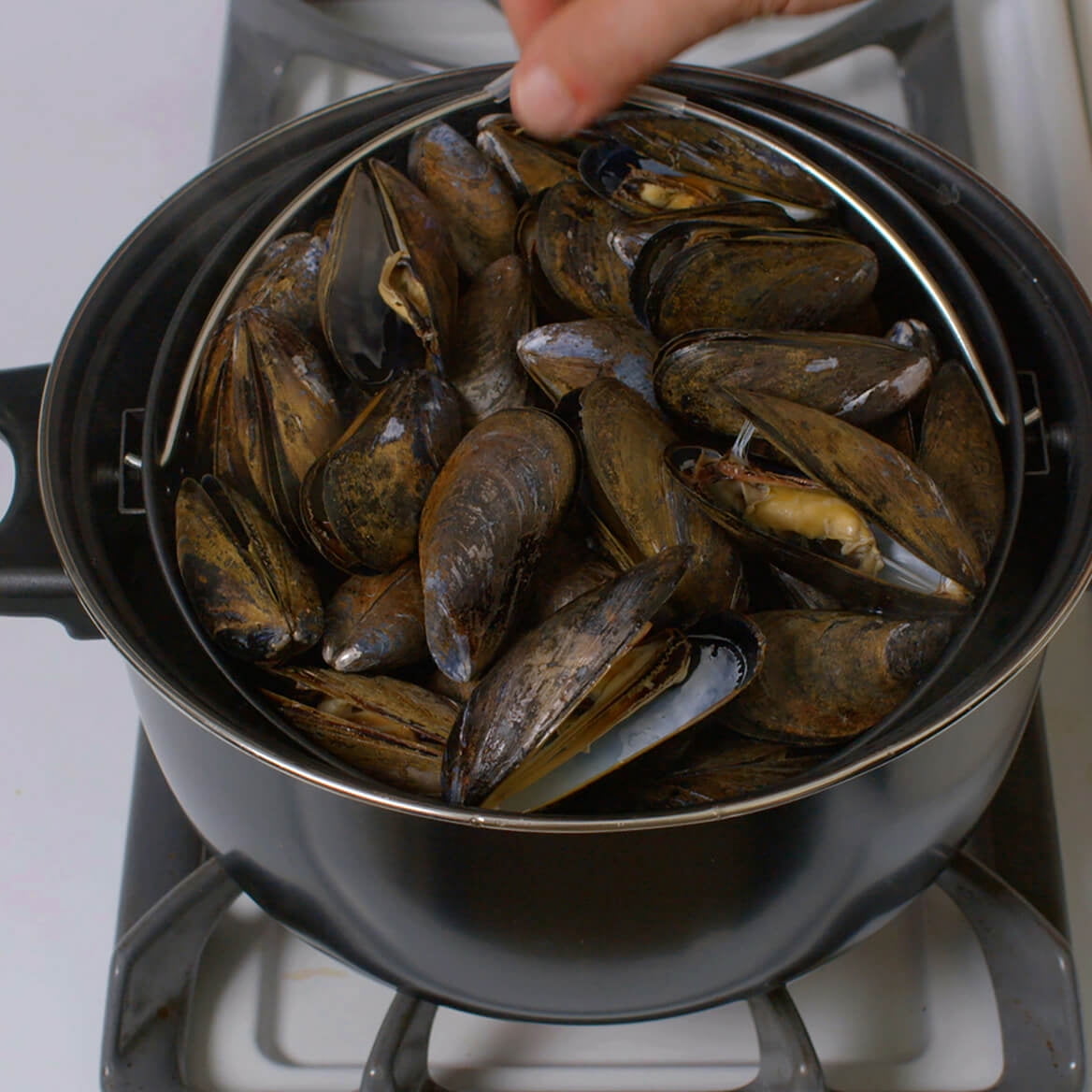 World's Greatest Cooking Pot - 3.5 Quart