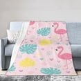 thumbnail image 3 of Flamingo Blanket Cute Flamingo Gifts for Women Girls Throw Blanket Pink Tropical Fleece Fuzzy Soft Flannel Plush Warm Bedding Stuff for Kids Adults 80x60, 3 of 6