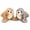 black+gray, variant on Seal Plush Toy, 12 Inch Soft Seal Stuffed Animal, Gray or Brown Ocean Animal Plush , Single or 2 Pack, Kids Gift and Room Decor