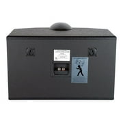 VocoPro SV-500 10 Vocal Speaker Pair