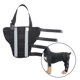 thumbnail image 5 of Sunnycamping - Protector de pierna para perro, accesorios para la articulación del corvejón, parte trasera de apoyo Negro Colco Protector de ortesis de codo de pierna, 5 of 7