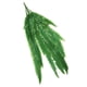 thumbnail image 4 of 4 piezas de plantas artificiales, vides, helechos, vegetación , planta colgante de ratán, plantas de plástico libre para pared, interior Macarena Ratán persa artificial, 4 of 8