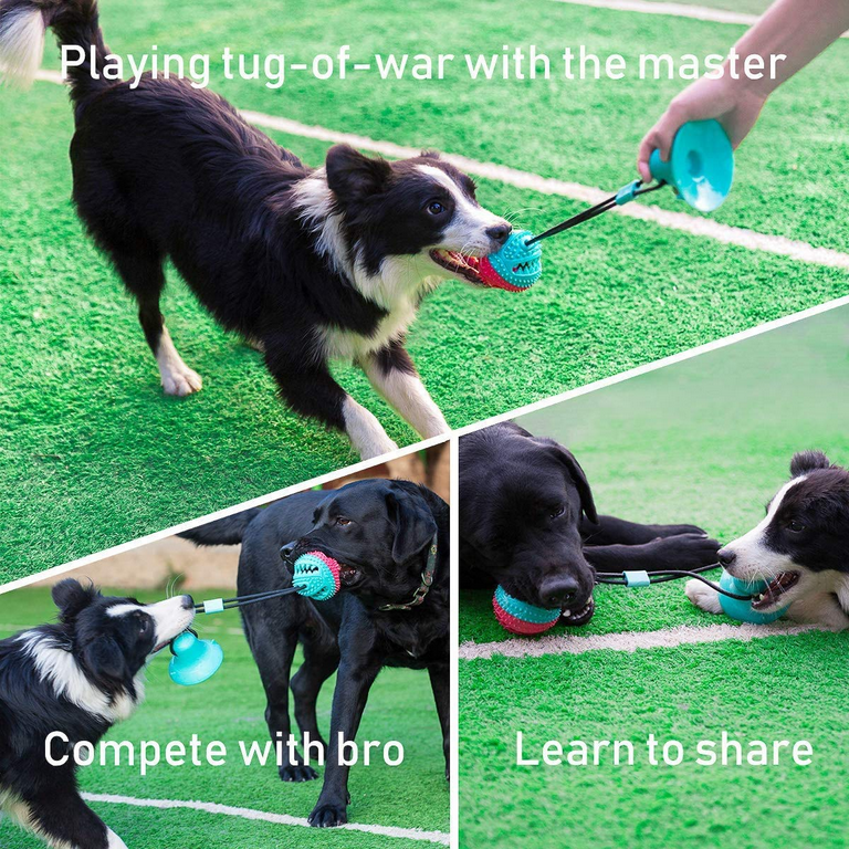 Dog Chew Toys, Dogs Training Treats Teething Rope Toys with Suction Cup for  Boredom, Indoor Interactive Toy for Puppy, Dog Puzzle Treat Food