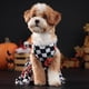 thumbnail image 4 of Ropa para perros y gatos (2024), nueva, con estampado de calabaza y murciélago morado, falda para perros pequeños y medianos., 4 of 5