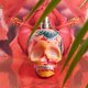thumbnail image 2 of Police Aerosoles EDP Police Selva Exótica 4.2 oz, 2 of 5