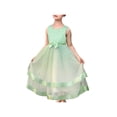 thumbnail image 1 of Flower Girls Dress Light Green Layer Ribbon Trim Mesh Skirt Wedding 10 Years, 1 of 6