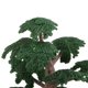 thumbnail image 4 of 1 pieza de ciprés antiguo de paisaje verde, decoración de calle de parque, 24 cm 24cm, 4 of 8
