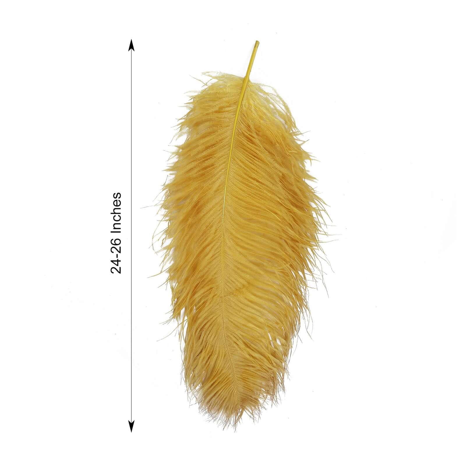 Efavormart 12 RARE 24"-26" Ostrich Plume Feathers For Wedding Birthday Party Dance Banquet Event Decoration - Gold