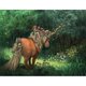 thumbnail image 1 of Taladro Pintura Diamante (DE5798) Caballo Elfo Kit completo de imagen de mosaico DIY Decoración para el hogar 50x70cm FLhrweasw Nuevo, 1 of 1