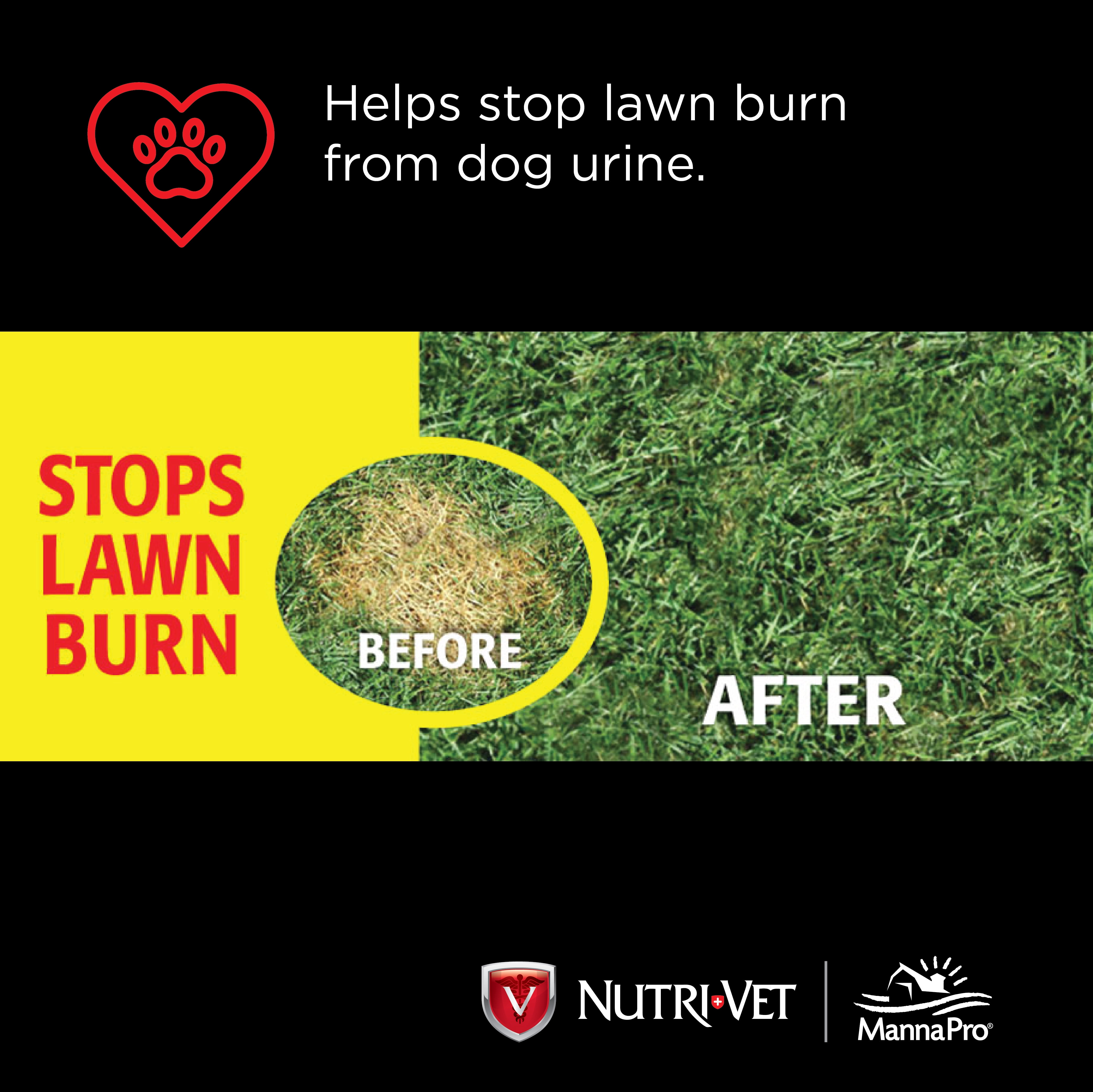 Nutri-Vet Grass Guard Biscuits for Dogs 19.5 ounces