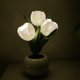 thumbnail image 4 of Luz de noche Flores artificiales Lámpara de flores Luz LED para adultos en el hogar al aire libre tulipanes blancos Zulema Luz de noche, 4 of 8