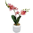 thumbnail image 1 of Accent Collection Polyrésine Orchidée Bonheur - Réaliste Rose & Vert, Jardinière Blanche, 1 of 6